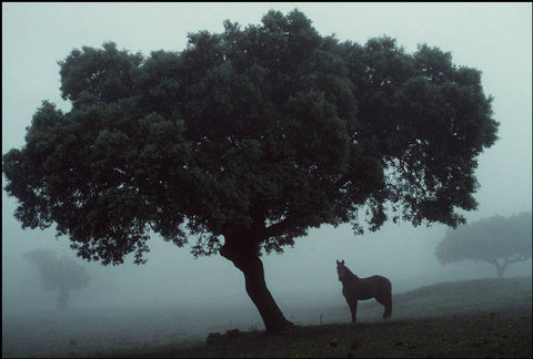 (c) Bruno Barbey / Magnum Photos