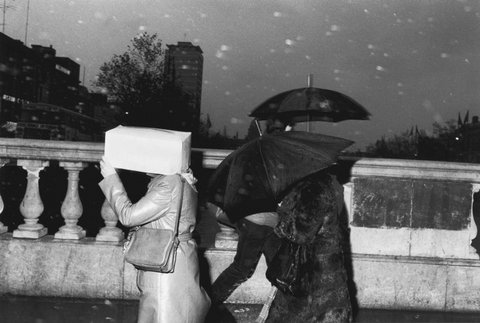 (c) Martin Parr / Magnum Photos
