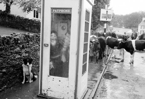 (c) Martin Parr / Magnum Photos