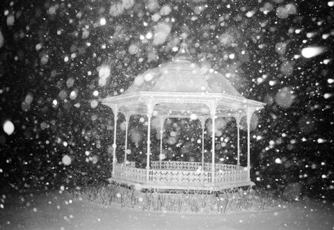 (c) Martin Parr / Magnum Photos