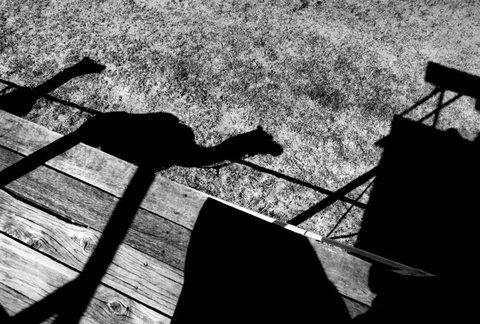 (c) Trent Parke / Magnum Photos