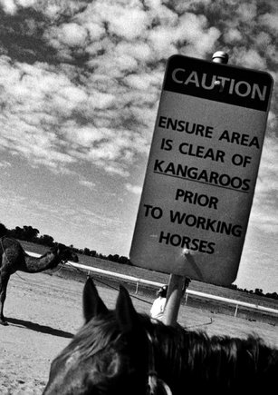 (c) Trent Parke / Magnum Photos