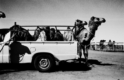 (c) Trent Parke / Magnum Photos