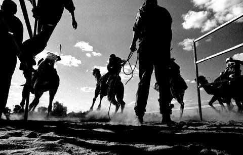 (c) Trent Parke / Magnum Photos