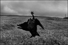 The Macabre
