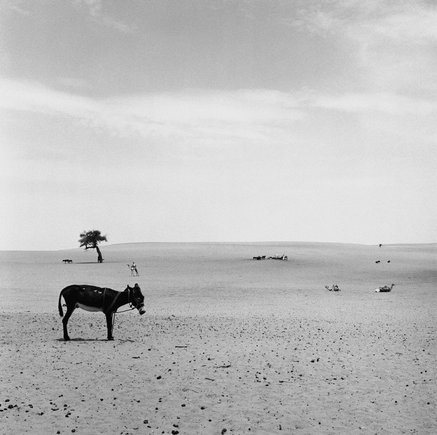 (c) Peter Marlow / Magnum Photos