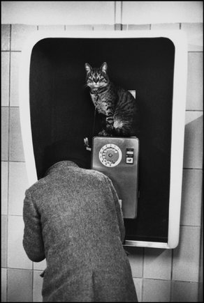 (c) Martine Franck / Magnum Photos