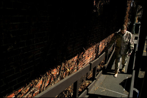 (c) Alex Majoli / Magnum Photos