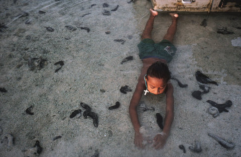 (c) Alex Webb / Magnum Photos