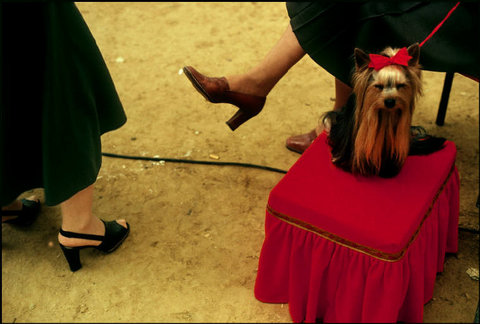 (c) Harry Gruyaert / Magnum Photos