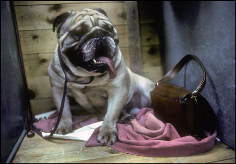 (c) Harry Gruyaert / Magnum Photos