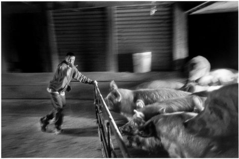 (c) Larry Towell / Magnum Photos