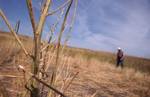 (c) Ilkka Uimonen / Magnum Photos