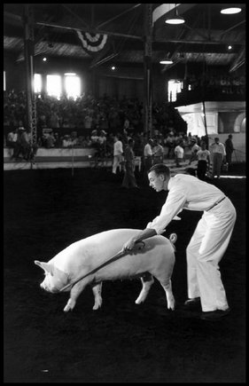 (c) Elliott Erwitt  / Magnum Photos