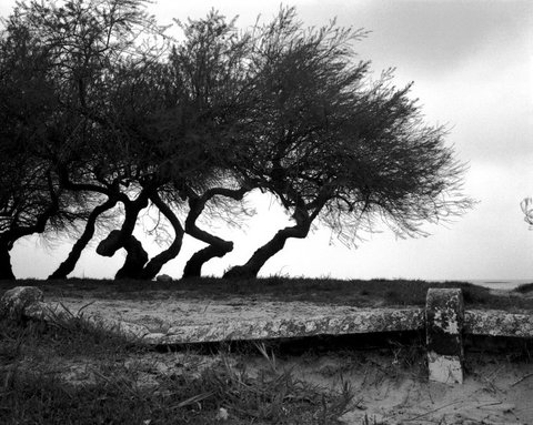 (c) Jean Gaumy / Magnum Photos