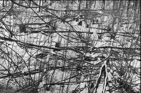 (c) Henri Cartier-Bresson / Magnum Photos
