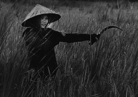 (c) Philip Jones Griffiths  / Magnum Photos