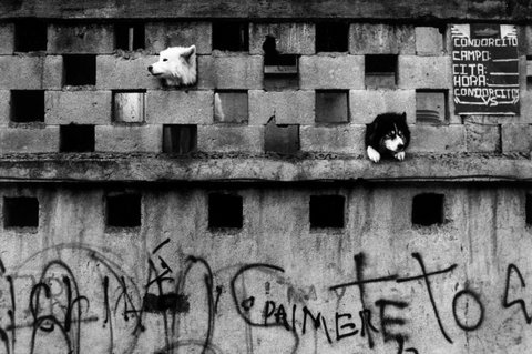 (c) Stuart Franklin / Magnum Photos