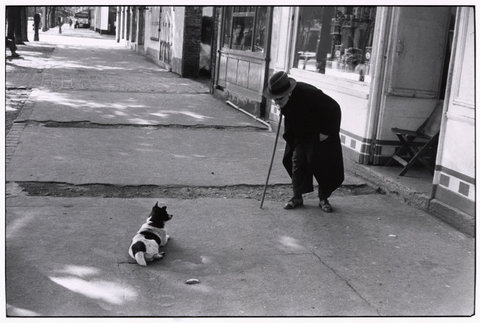 (c) Elliott Erwitt / Magnum Photos