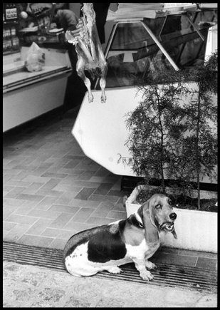 (c) Elliott Erwitt / Magnum Photos