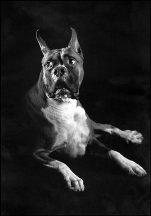 (c) Elliott Erwitt / Magnum Photos