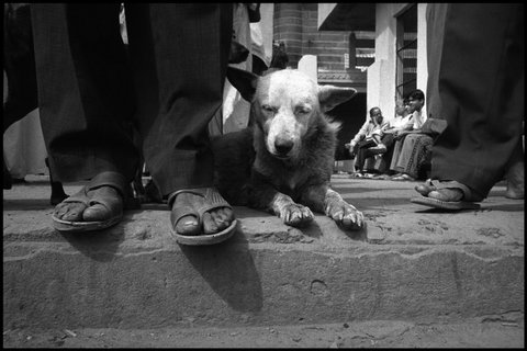 (c) Bruce Gilden / Magnum Photos