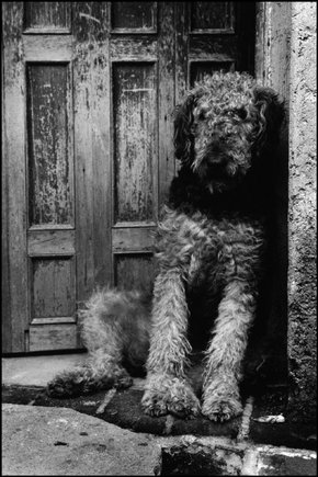 (c) Martine Franck / Magnum Photos