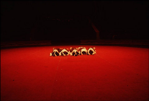 (c) Lise Sarfati / Magnum Photos