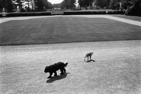 (c) Richard Kalvar / Magnum Photos