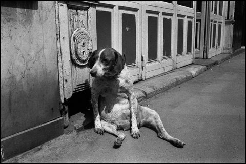 (c) Richard Kalvar / Magnum Photos