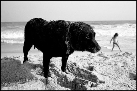 (c) Elliott Erwitt / Magnum Photos
