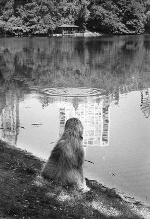 (c) Elliott Erwitt / Magnum Photos