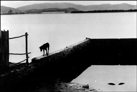 (c) Elliott Erwitt / Magnum Photos