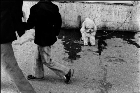 (c) Elliott Erwitt / Magnum Photos