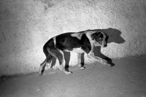 (c) Bruce Gilden / Magnum Photos
