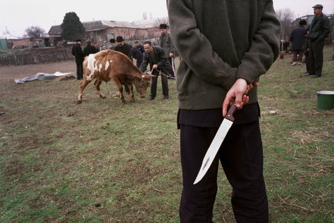 (c) Thomas Dworzak / Magnum Photos