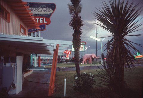 (c) Harry Gruyaert / Magnum Photos