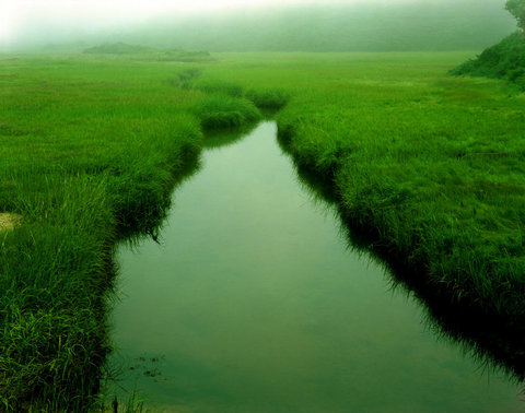 (c) Bruce Davidson / Magnum Photos