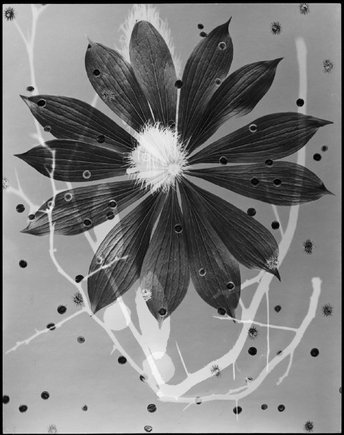 (c) Werner Bischof / Magnum Photos