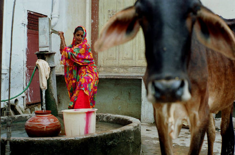 (c) Ian Berry / Magnum Photos