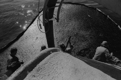 (c) Larry Towell / Magnum Photos