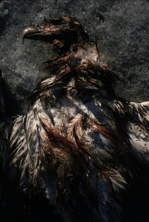 (c) Paul Fusco / Magnum Photos