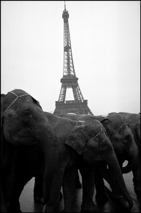 (c) Guy Le Querrec / Magnum Photos