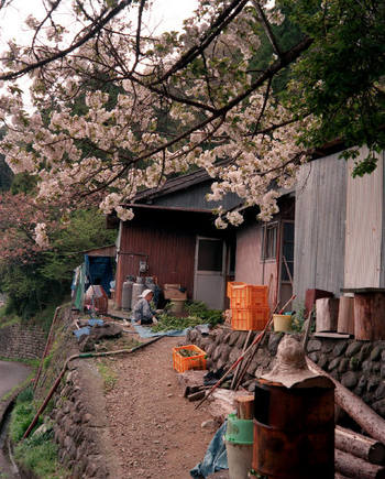 (c) Chris Steele-Perkins / Magnum Photos
