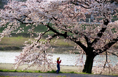 (c) Chris Steele-Perkins / Magnum Photos