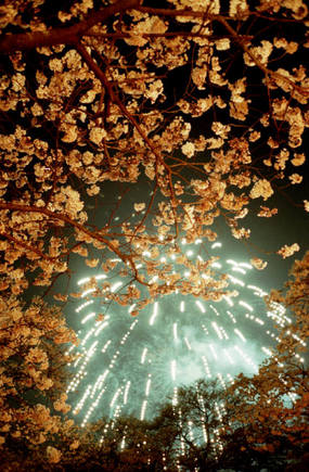 (c) Chris Steele-Perkins / Magnum Photos