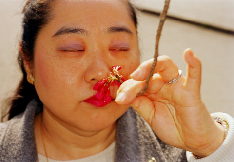 (c) Martin Parr / Magnum Photos