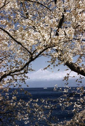 (c) Burt Glinn / Magnum Photos