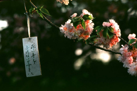 (c) Thomas Hoepker / Magnum Photos