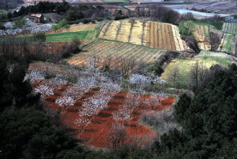 (c) Dennis Stock / Magnum Photos